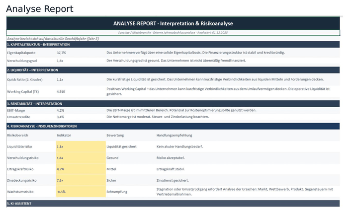 Analyse-Report mit automatischen Interpretationstexten und Handlungsempfehlungen je Risikobereich