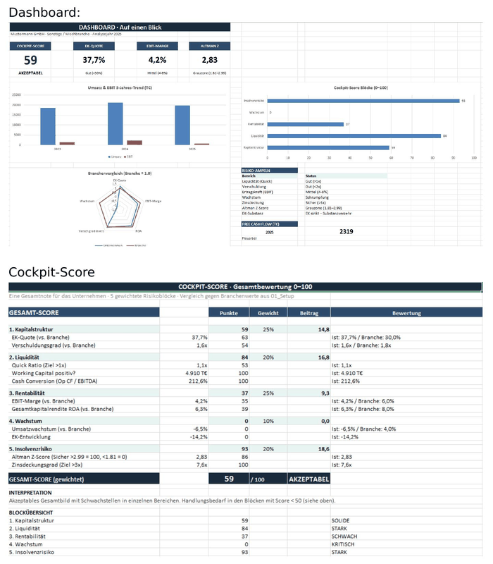 Dashboard mit Cockpit-Score, Risikoampeln und Branchenvergleich als Netzdiagramm